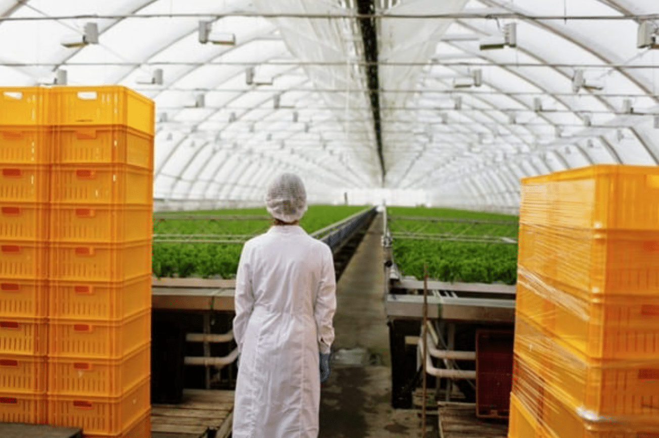 EasychemTrade | From Agriculture to Food Production: Chemicals that Drive Modern Industries Worker in white coat inside modern greenhouse with yellow crates
